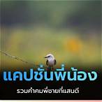 แคปชั่นพี่น้องทะเลาะกัน